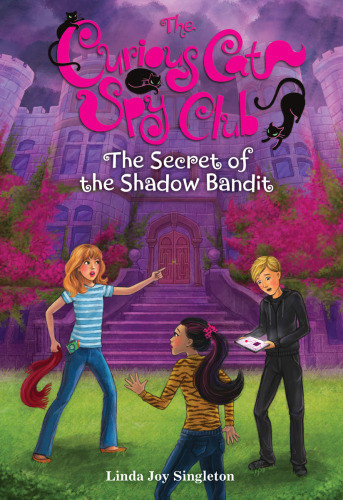 The Secret Of The Shadow Bandit Singleton Linda Joy