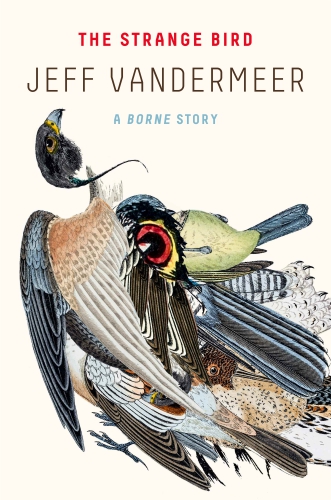 The Strange Bird A Borne Story Jeff Vandermeer