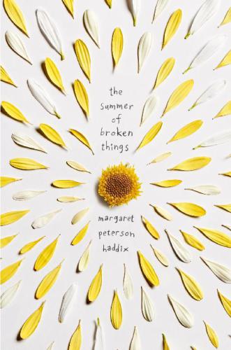 The Summer Of Broken Things Haddix Margaret Peterson