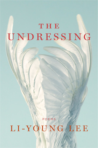 The Undressing Lee Liyoung