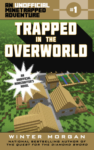Trapped In The Overworld Morgan Winter