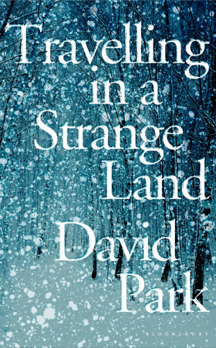 Travelling In A Strange Land David Park