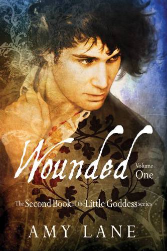 Wounded Vol 1 Lane Amy