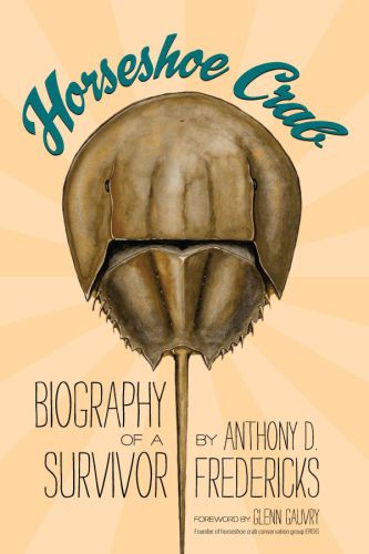 Horseshoe Crab Fredericks Anthony