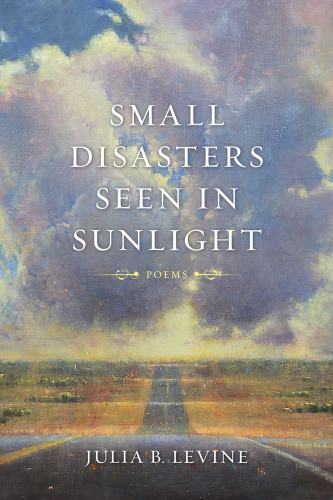 Small Disasters Seen In Sunlight Poems Levine Julia B