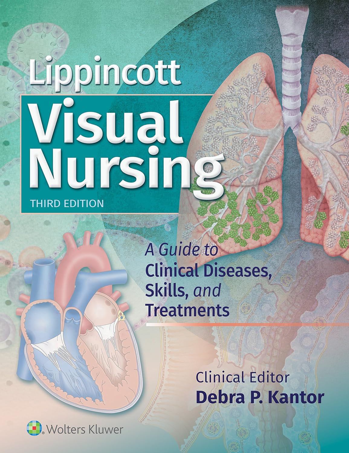 Lippincott Visual Nursing A Guide To Clinical Diseases Skills And Treatments Debra P Kantor