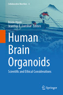 Human Brain Organoids Scientific And Ethical Considerations Insoo Hyun