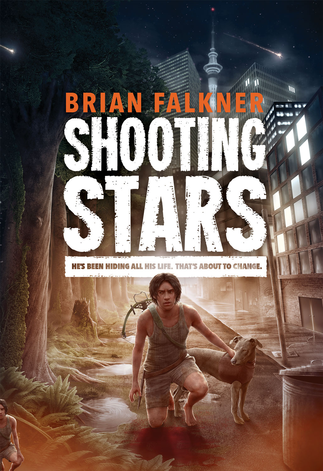 Shooting Stars Falkiner Brian