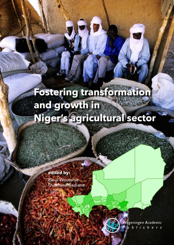Fostering Transformation And Growth In Nigers Agricultural Sector Badiane
