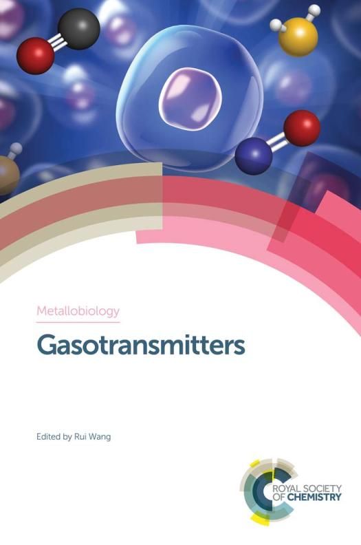 Gasotransmitters Wang Rui