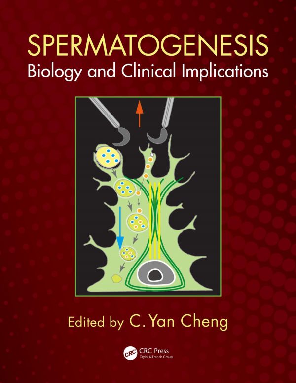 Spermatogenesis Biology And Clinical Implications Cheng C Yan