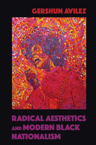 Radical Aesthetics And Modern Black Nationalism Gershun Avilez