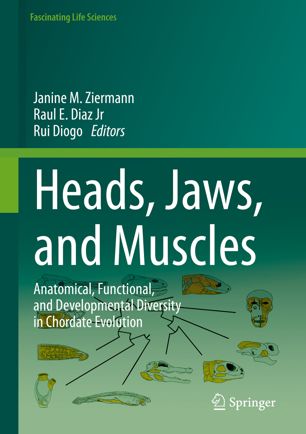 Heads Jaws And Muscles Anatomical Functional And Developmental Diversity In Chordate Evolution 1st Ed Janine M Ziermann