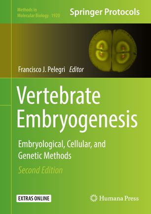 Vertebrate Embryogenesis Embryological Cellular And Genetic Methods 2nd Ed Francisco J Pelegri
