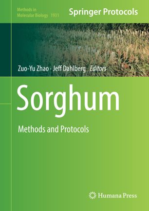 Sorghum Methods And Protocols 1st Ed Zuoyu Zhao Jeff Dahlberg