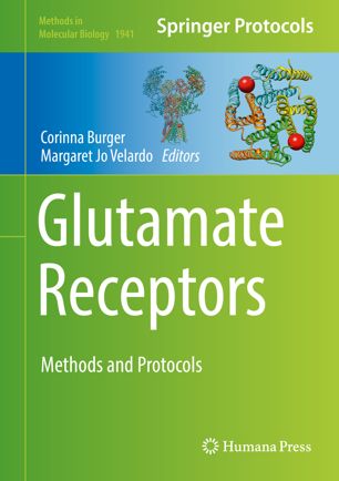 Glutamate Receptors Methods And Protocols 1st Ed Corinna Burger