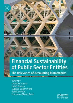 Financial Sustainability Of Public Sector Entities The Relevance Of Accounting Frameworks 1st Ed Josette Caruana
