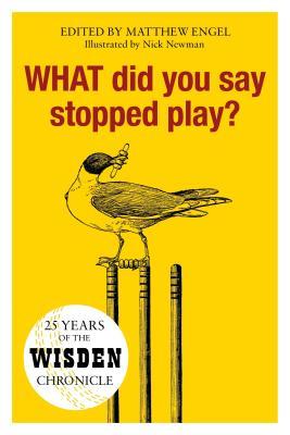 What Did You Say Stopped Play 25 Years Of The Wisden Chronicle Hardcover Matthew Engel