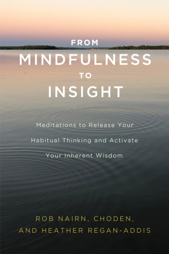 From Mindfulness To Insight Meditations To Release Your Habitual Thinking And Activate Your Inherent Wisdom By Rob Nairn