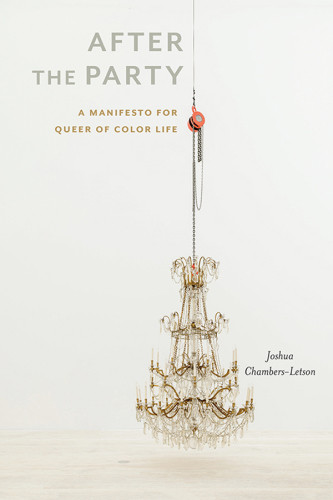 After The Party A Manifesto For Queer Of Color Life Joshua Chambersletson