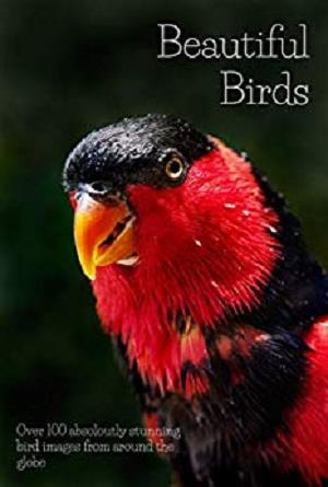 Beautiful Birds Over 100 Absolutely Stunning Bird Images From Around The Globe Lee Baxter
