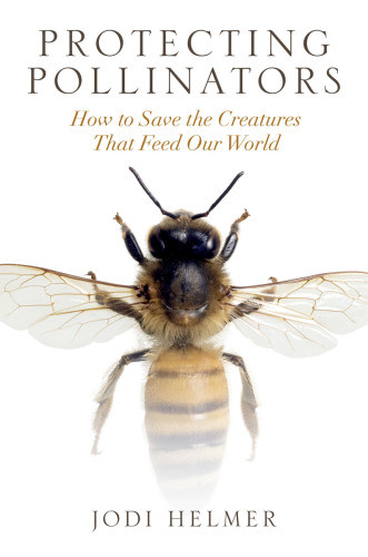 Protecting Pollinators How To Save The Creatures That Feed Our World Jodi Helmer