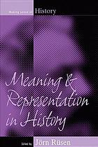 Meaning And Representation In History First Paperback Edition Rsen