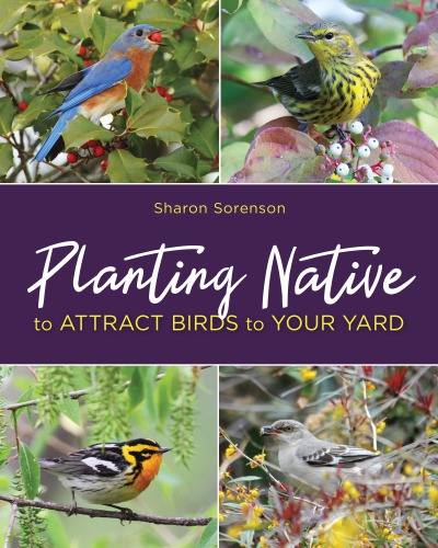 Planting Native To Attract Birds To Your Yard Sharon Sorenson