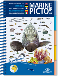 Marine Pictolife Mediterranean Sea 1st Edition Antoine Dray Francois Rebufat