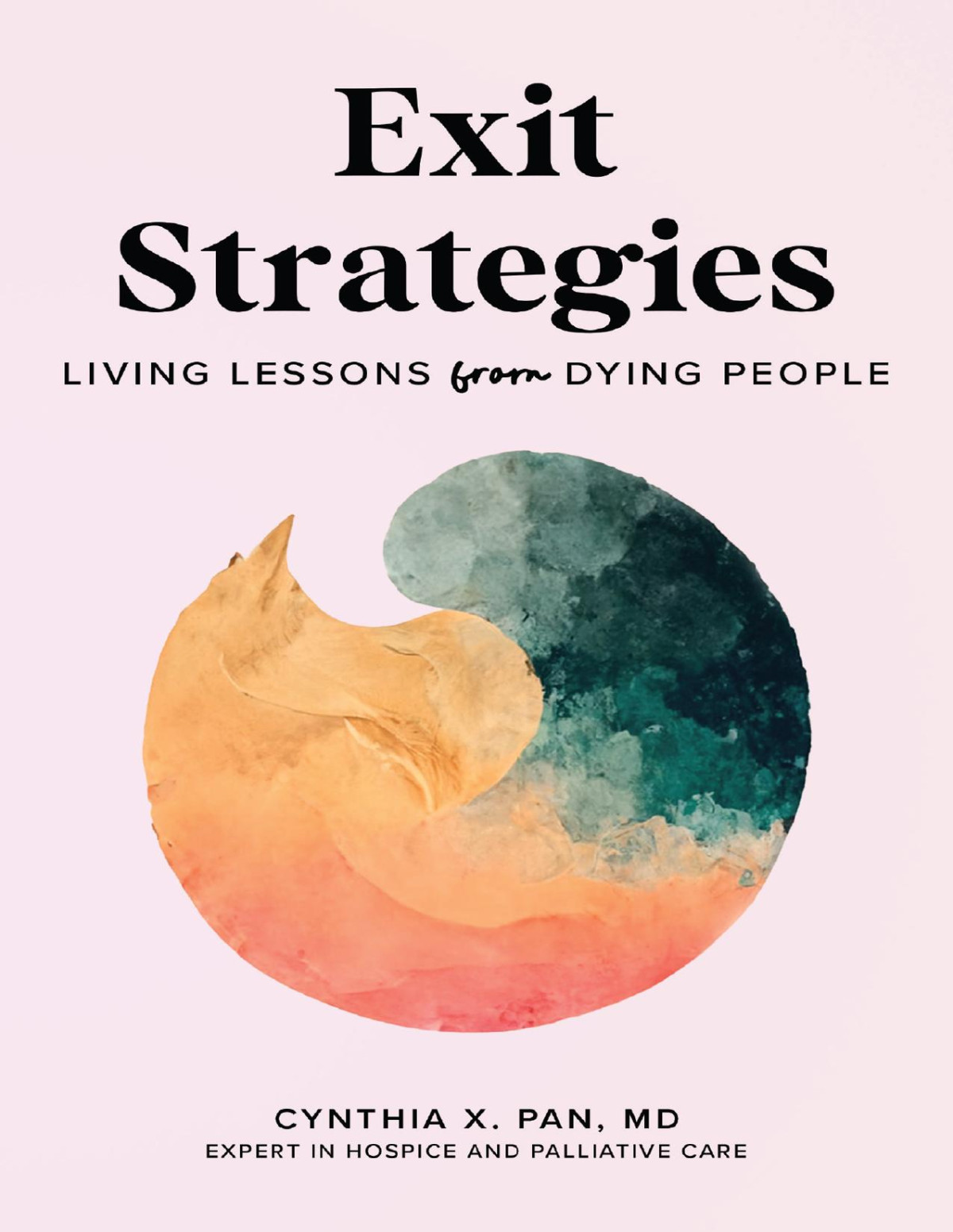 Exit Strategies Living Lessons From Dying People Cynthia X Pan