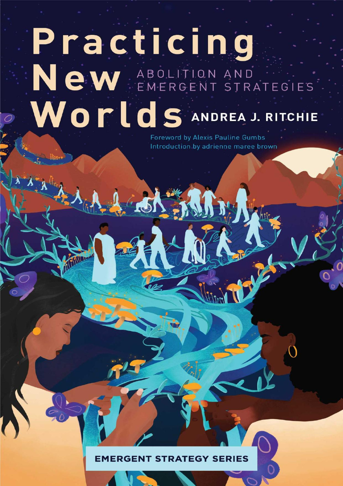 Practicing New Worlds Abolition And Emergent Strategies Emergent Strategy Series No 9 Andrea J Ritchie
