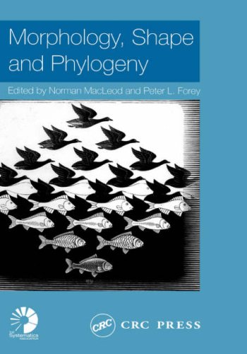 Morphology Shape And Phylogeny 1st Edition Norman Macleod Peter L Forey