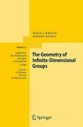 The Geometry Of Infinitedimensional Groups 1st Edition Boris Khesin