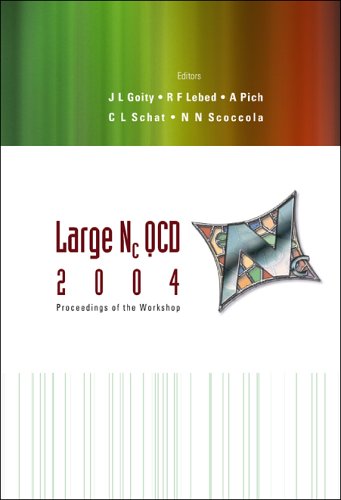 Large Nc Qcd 2004 Proceedings Of The Workshop Ws International Workshop On Large Nc Qcd