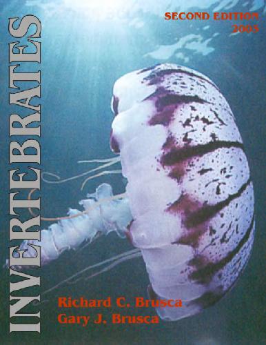 Invertebrates 2nd Edition Brusca
