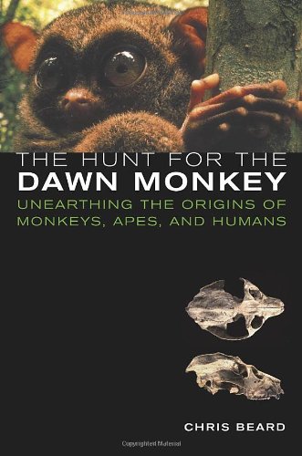 The Hunt For The Dawn Monkey Unearthing The Origins Of Monkeys Apes And Humans 1st Edition Christopher Beard