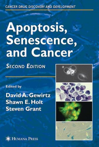 Apoptosis Senescence And Cancer 2nd Edition David A Gewirtz
