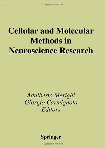 Cellular And Molecular Methods In Neuroscience Research 1st Edition Adalberto Merighi