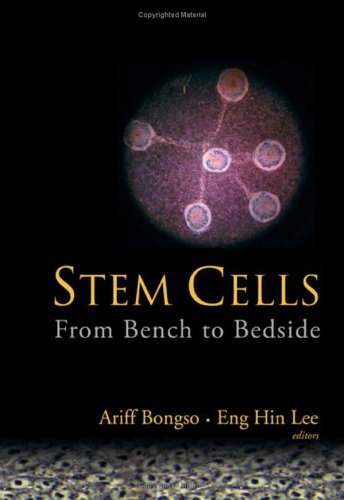 Stem Cells From Bench To Bedside 1st Edition Ariff Bongso Eng Hin Lee