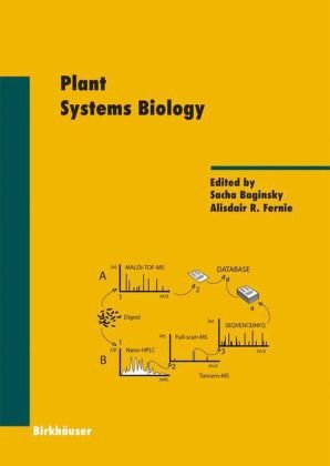 Plant Systems Biology 1st Edition Frank J Bruggeman Jorrit J Hornberg