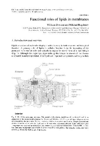 Biochemistry Of Lipids Lipoproteins And Membranes 4th Edition D Vance