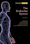 Your Body How It Works The Endocryne System Lynette Rushton