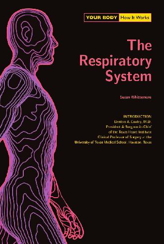 The Respiratory System 1st Edition Susan Phd Whittemore Denton A