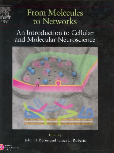 From Molecules To Networks Introduction To Cellular And Molecular Neuroscience Byrne