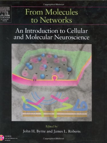 From Molecules To Networks An Introduction To Cellular And Molecular Neuroscience 1st Edition John H Byrne