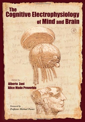 The Cognitive Electrophysiology Of Mind And Brain 1st Edition Alberto Zani
