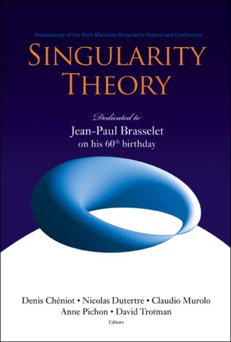 Singularity Theory Proceedings Of The 2005 Marseille Singularity School And Conference Cirm Marseille France 24 January25 February 2005 Denis Cheniot