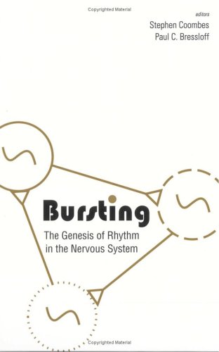 Bursting The Genesis Of Rhythm In The Nervous System Stephen Coombes Paul C Bressloff