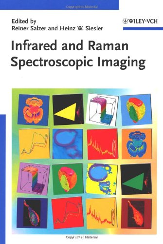 Infrared And Raman Spectroscopic Imaging First Edition Reiner Salzer