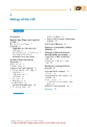 The Human Body Faller